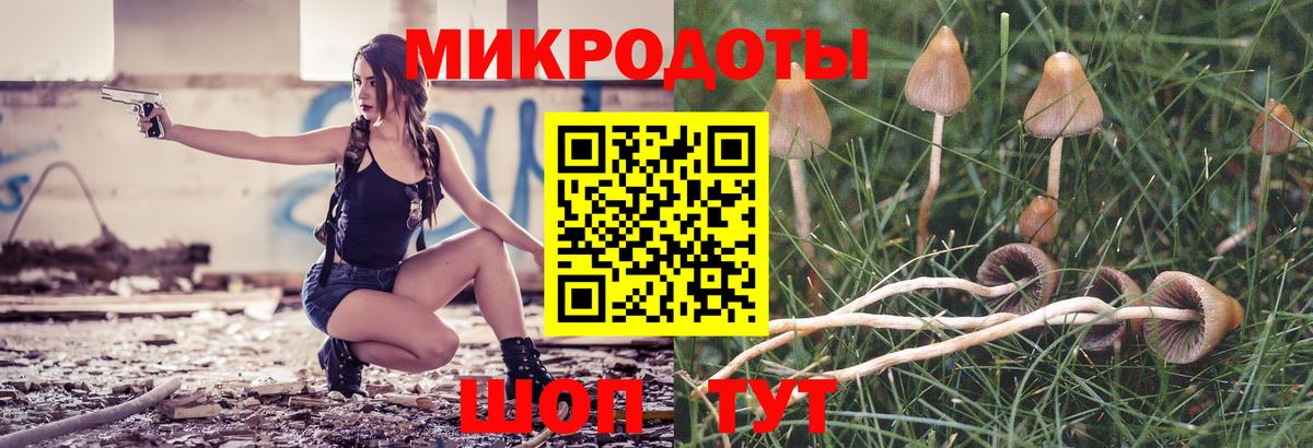 Галлюциногенные грибы мицелий  Вход с VPN  Городец 