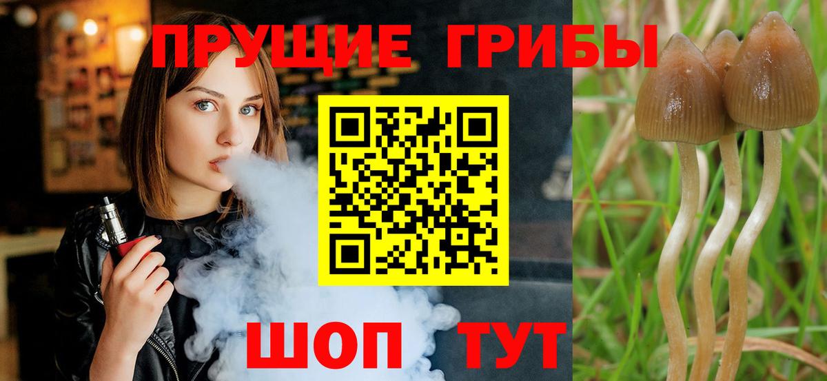 Псилоцибиновые грибы мухоморы Городец
